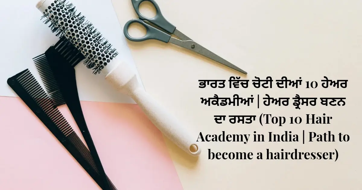 ਭਾਰਤ ਵਿੱਚ ਚੋਟੀ ਦੀਆਂ 10 ਹੇਅਰ ਅਕੈਡਮੀਆਂ | ਹੇਅਰ ਡ੍ਰੈਸਰ ਬਣਨ ਦਾ ਰਸਤਾ (Top 10 Hair Academy in India | Path to become a hairdresser)