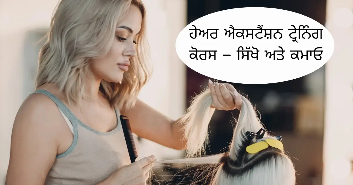 ਹੇਅਰ ਐਕਸਟੈਂਸ਼ਨ ਟ੍ਰੇਨਿੰਗ ਕੋਰਸ – ਸਿੱਖੋ ਅਤੇ ਕਮਾਓ
