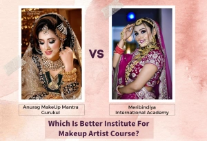 Anurag Makeup Mantra Gurukul VS Meribindiya International Academy Which is Better Institute for Makeup Artist Course