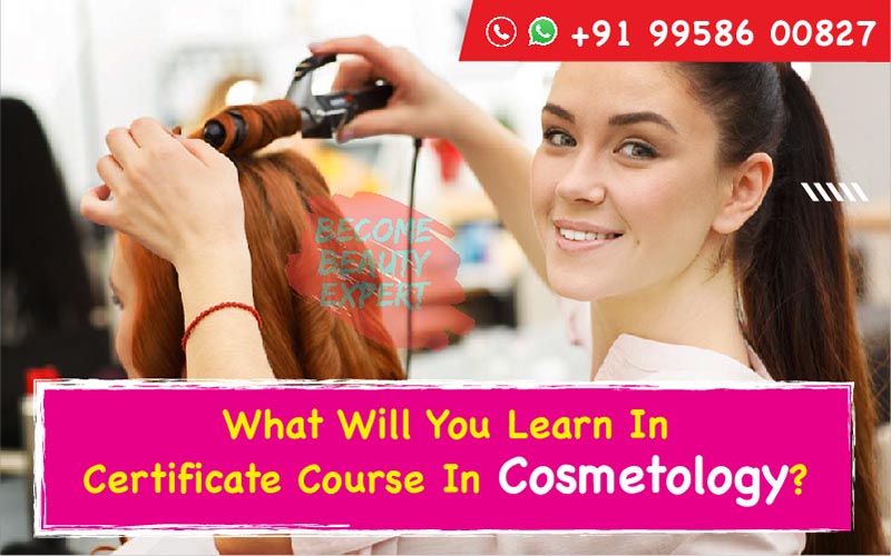 What Will You Learn In Certificate Course In Cosmetology?