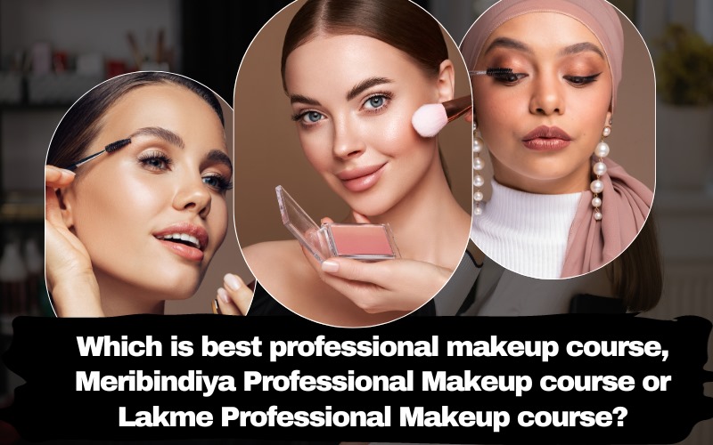 Which is best professional makeup course, Meribindiya Professional Makeup course or Lakme Professional Makeup course