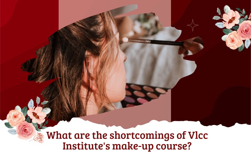 What are the shortcomings of Vlcc Institute's make-up course