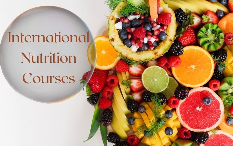 How to do International Nutrition Courses?