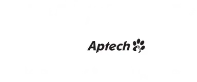 Lakme Makeup Academy Logo 2