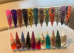 dhanashreenailartistandacademyundri