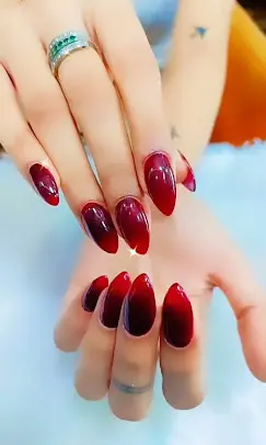 insanesalonnailstudioacademynailcourse