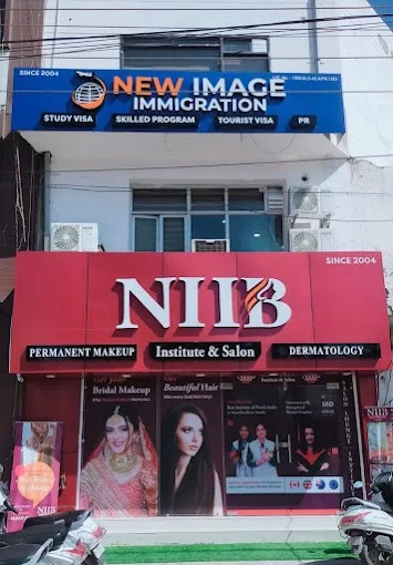 niibinstituteandsalonhoshiarpurprofileimage