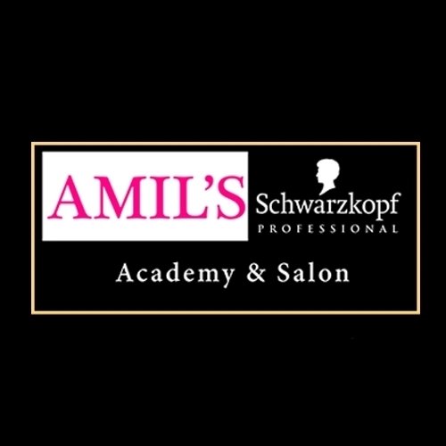 Amils Academy Patiala logo