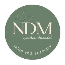 NDM Salon Academy Hisar logo