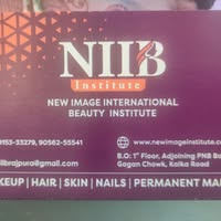 NIIB Institute Rajpura logo