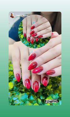The Colour 7 Unisex Salon Academy Rajpura nail art