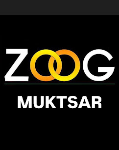 Zoog Studio ACademy Muktsar logo