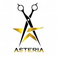 asteriasalonacademyinnagaonlogo
